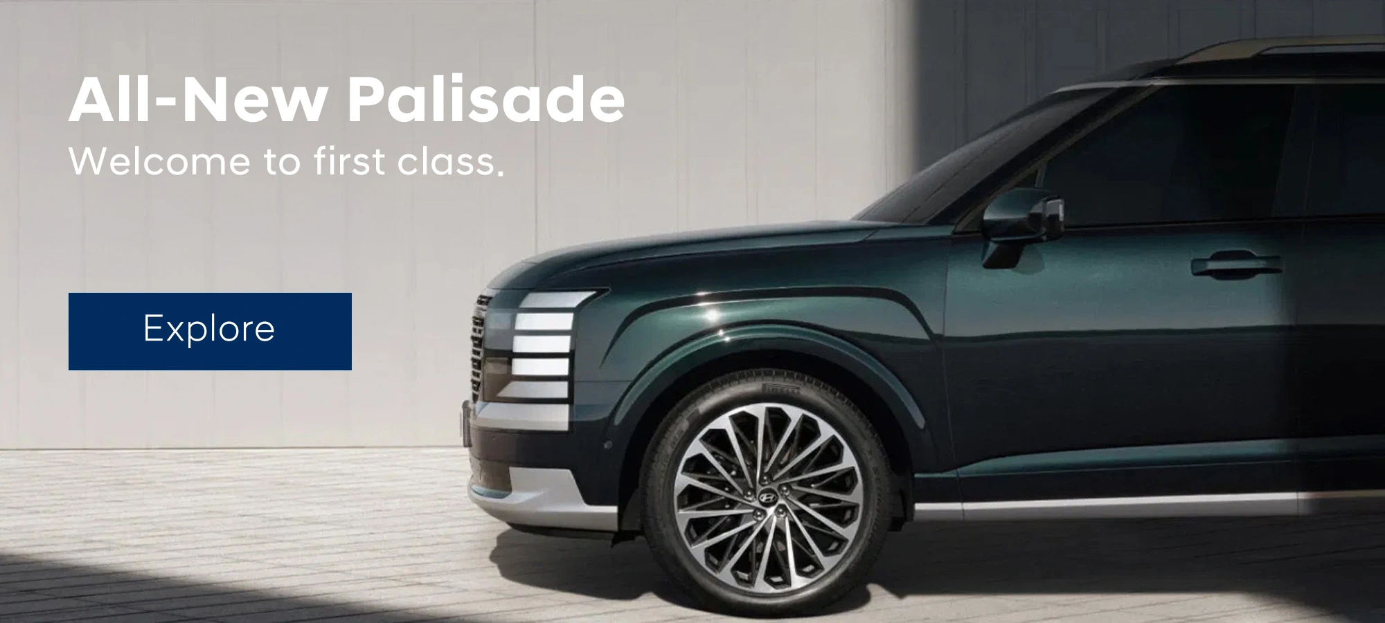 Palisade Hp